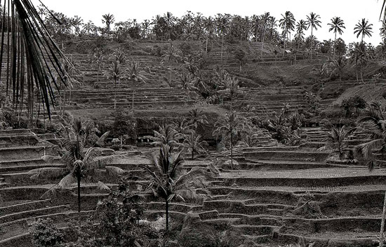 Diane Worland - Bali Part 1