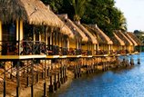 Vanuatu..of spiders and volcanoes 